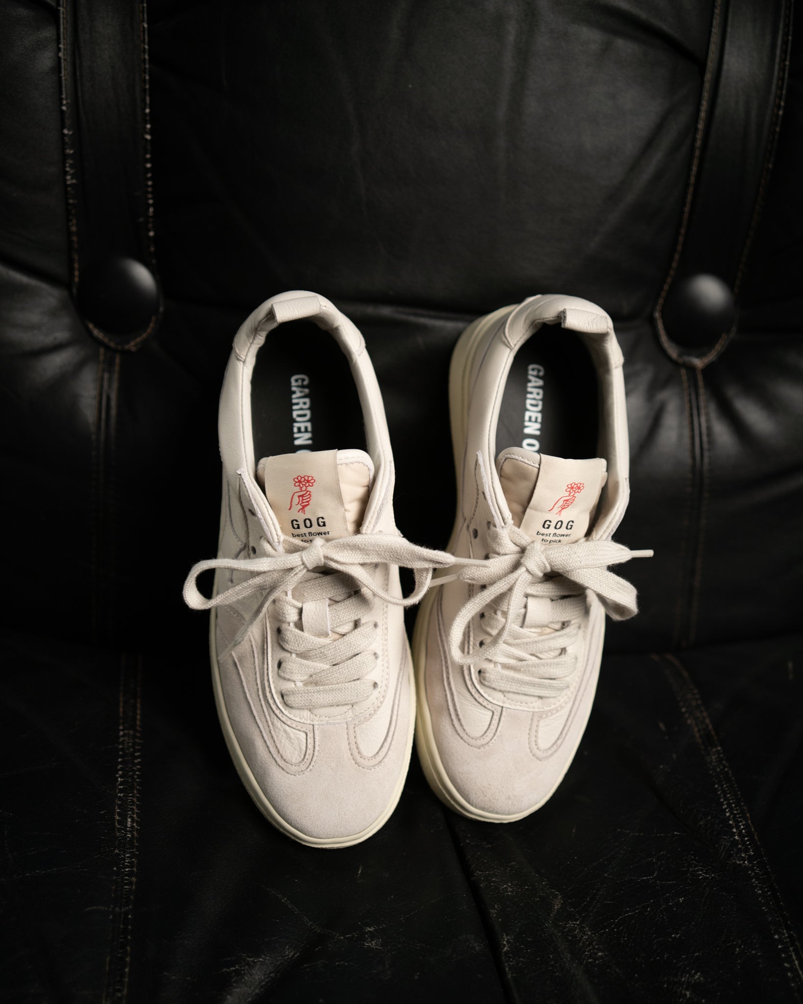 Garden of god x Fishtail