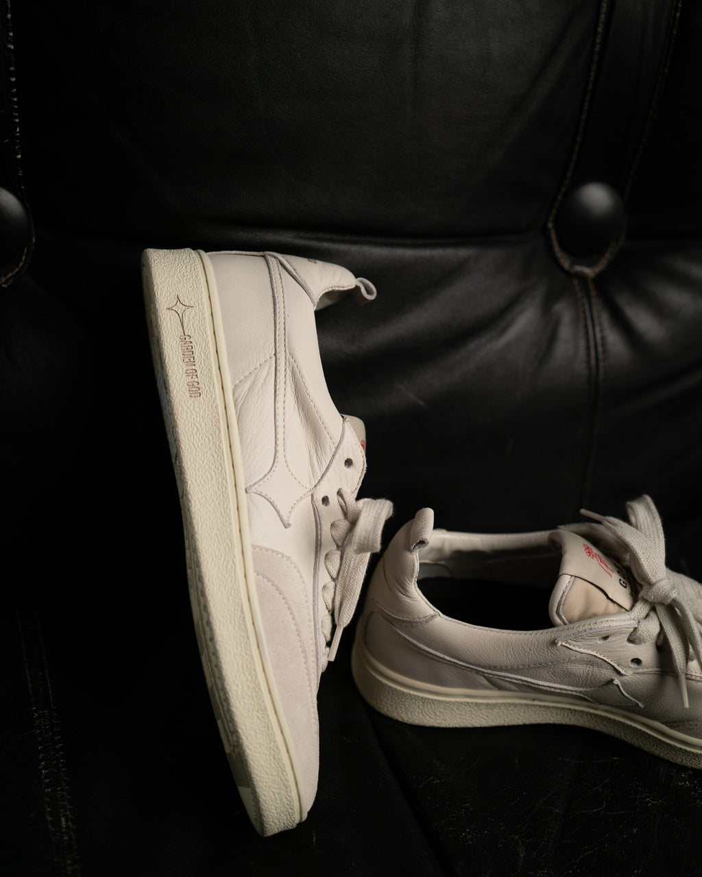 Garden of god x Fishtail