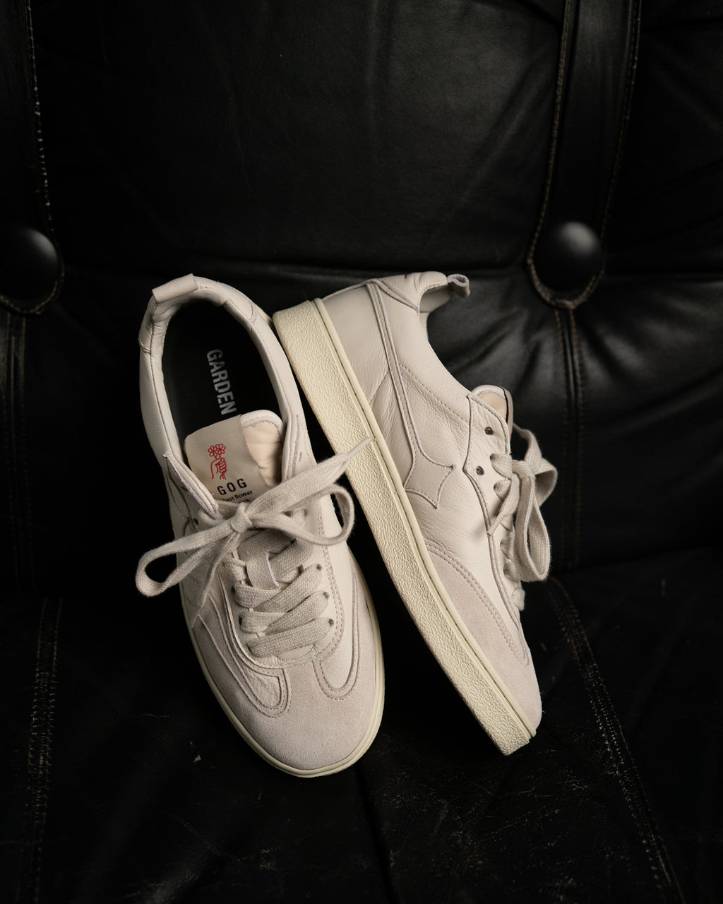 Garden of god x Fishtail